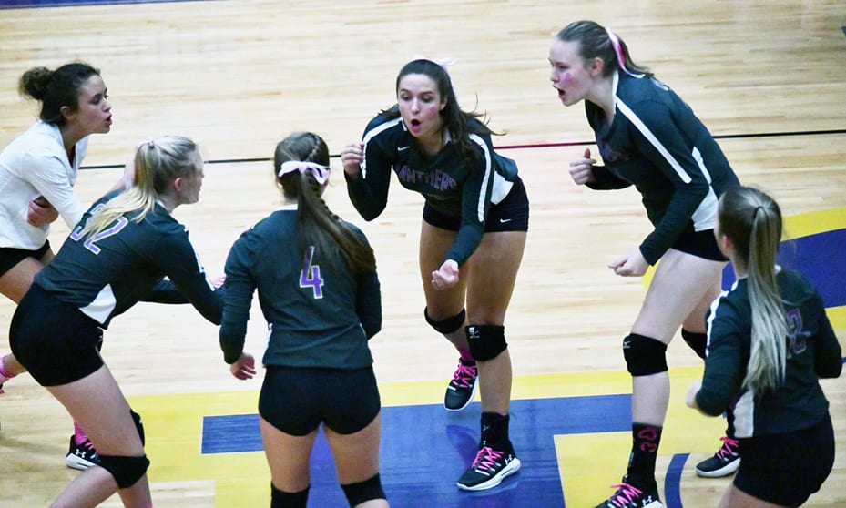 Lady Panthers volleyball