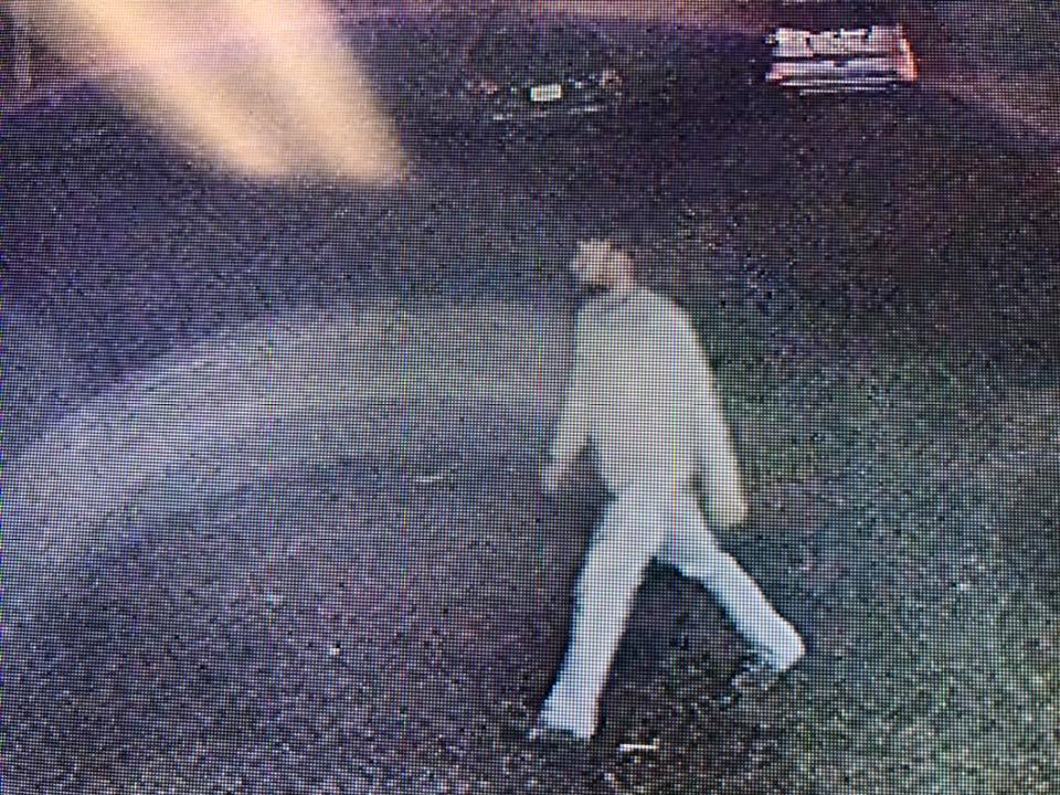 car theft